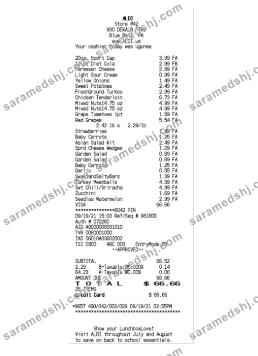ALDI STORE receipt template